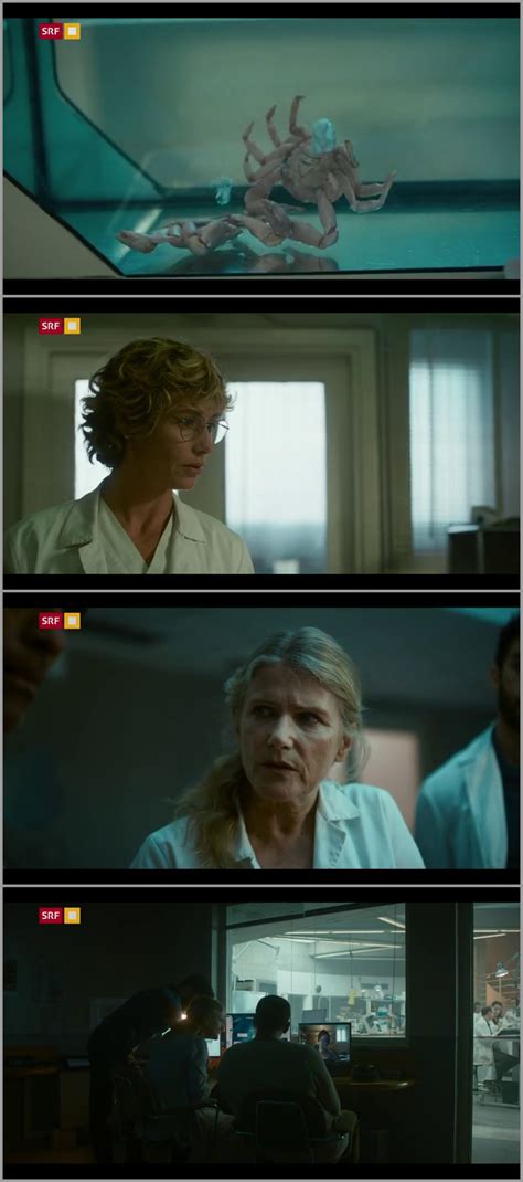 swarm s01e05 dsrip|Download file The.Swarm.S01E05.720p.WEBRip.x264 .